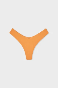 Braga de bikini brasileña brillante